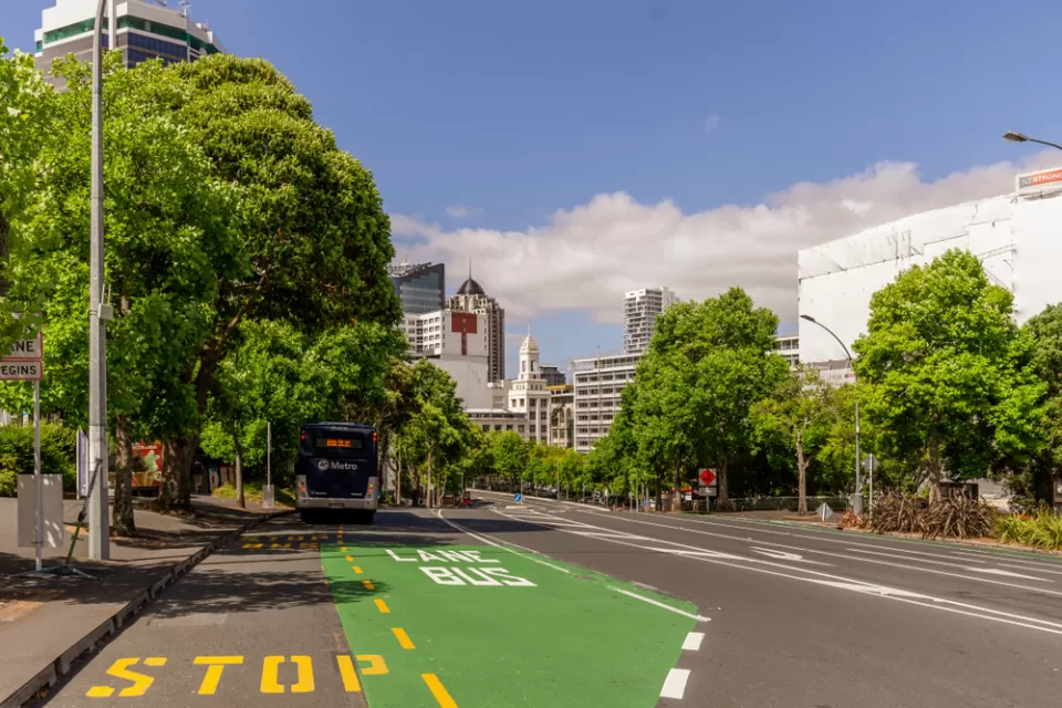 New Zealand Bus Transit